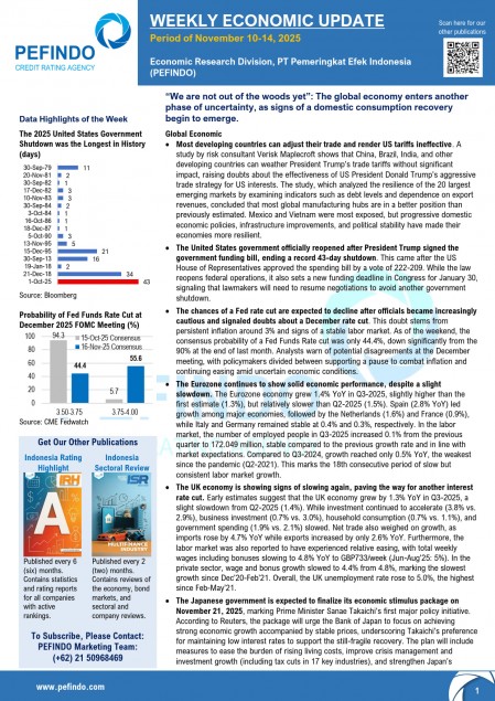 Second Week of November 2025